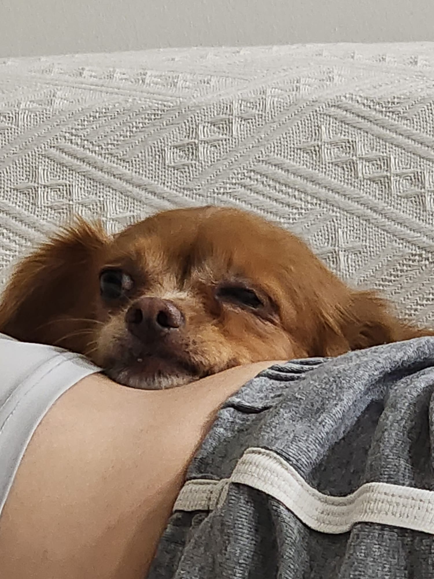 Fluffy